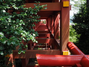 Empty chairs and tables against trees