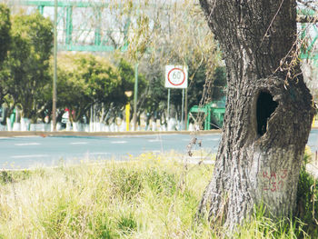 Close-up of road sign against plants