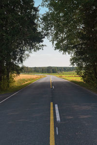 A country road leads between the large birch trees in the rural finland. 