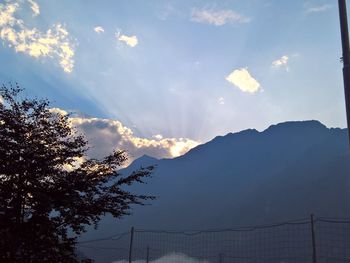 Low angle view of silhouette trees against sky during sunset