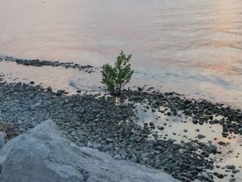 Rocks in sea