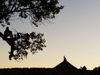 Silhouette tree against sky during sunset