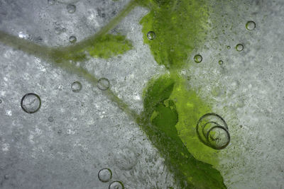 Full frame shot of wet bubbles