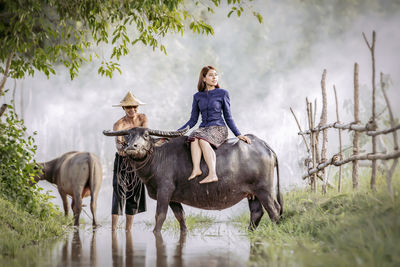 Woman sitting on buffalo