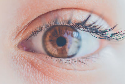 Close-up portrait of human eye