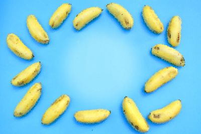 Directly above shot of fruits against blue background