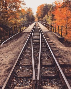 Railroad tracks amidst trees during autumn