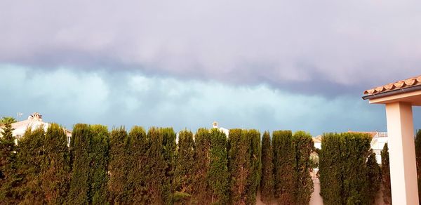 Panoramic shot of trees on land against sky