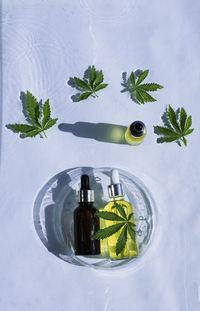 Cbd oil bottles, blue water background with drops, waves and leaves of hemp, marijuana