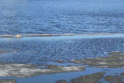 High angle view of sea