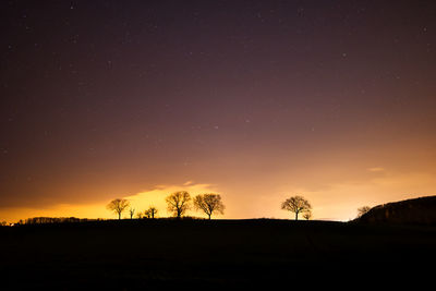 Silhouette tree against sky at night