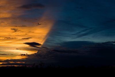 Silhouette trees against sky during sunset