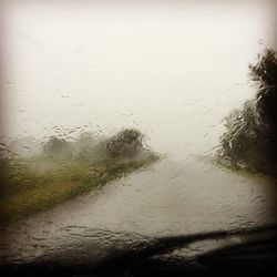 wet