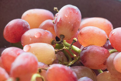 Close-up of fresh wet red grapes bunch