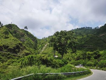 Panoramic shot of road amidst trees against sky