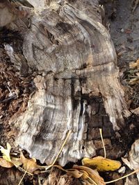 Rock formations on rocks