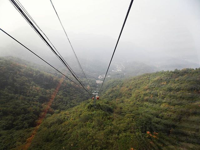 transportation, overhead cable car, mountain, mode of transport, landscape, nature, green color, tree, sky, tranquil scene, tranquility, scenics, fog, power line, connection, beauty in nature, travel, cable, day, journey