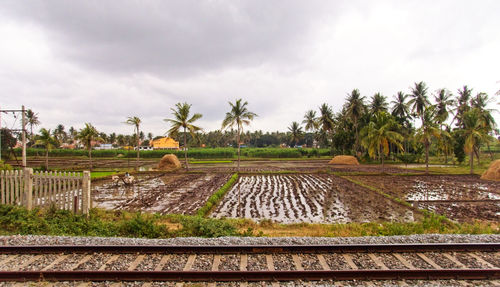 track