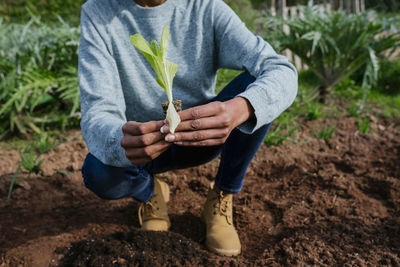 Woman planting lettuce seedlings in vegetable garden