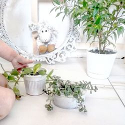Midsection of woman holding potted plant on table