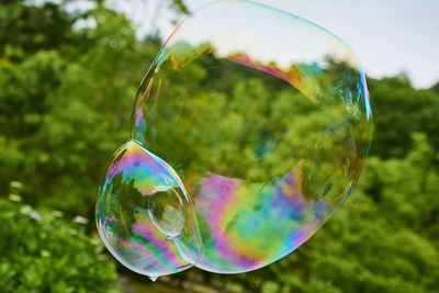 Close-up of bubble against trees