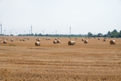 Hay bales on field against sky