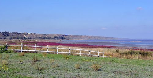 Scenic view of calm sea against clear blue sky