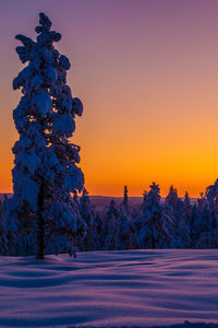 Scenic view of snow covered field against clear sky during sunset