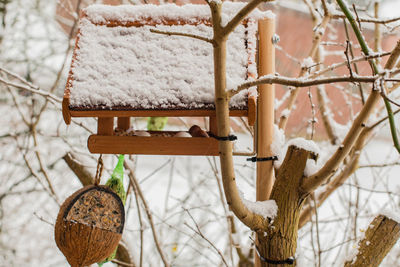 Snow covered birdhouse on bare tree