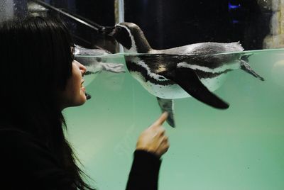 Woman pointing at humboldt penguin in aquarium