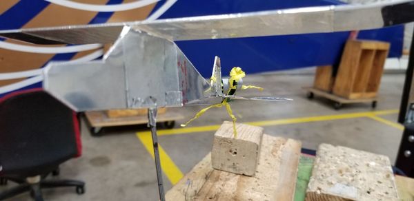 Close-up of insect on table