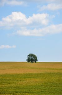 Scenic view of field against sky