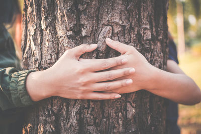 Close-up of hands holding tree trunk in forest