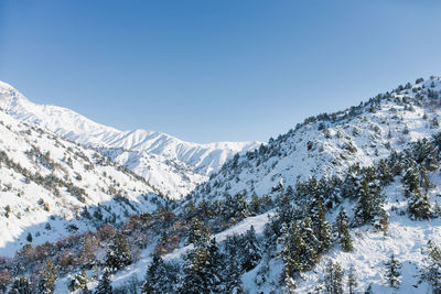 Amazing mountain snow view with rocks in the tien shan mountains in central asia near tashkent 