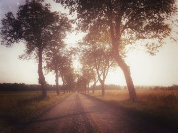 Road passing through field