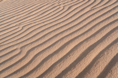 Full frame shot of sand dune