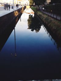 Reflection of trees in lake