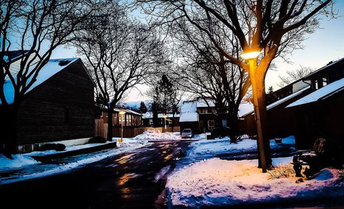 Snow covered bare trees and buildings against sky