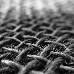 Close-up of grass against blurred background