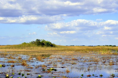 Scenic view of lake against sky