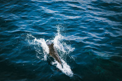 High angle view of sea