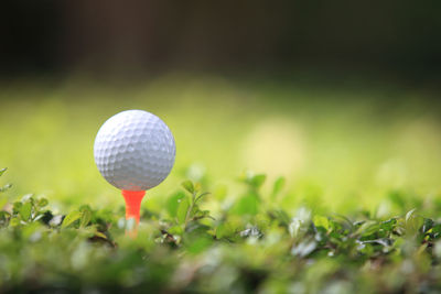 Close-up of golf ball on field