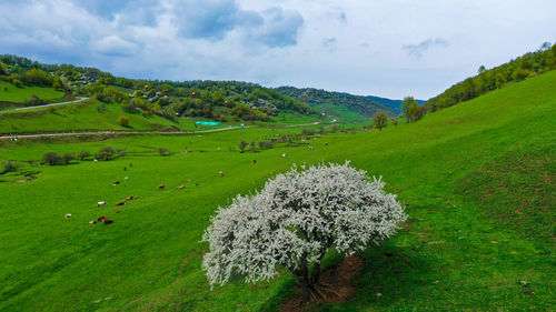 Scenic view of land against sky