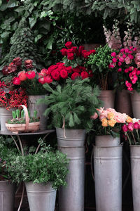 Potted plants with flowers in pot