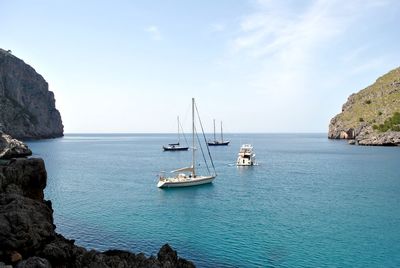 Sailboats in sea