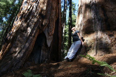 Woman standing on tree trunk in forest