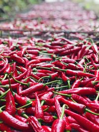 Close-up of red chili peppers drying on metal grate outdoors
