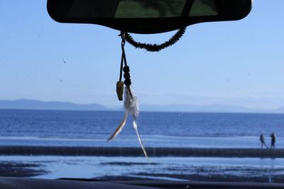 Close-up of bird flying over sea against sky