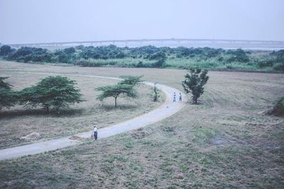 Scenic view of grassy field