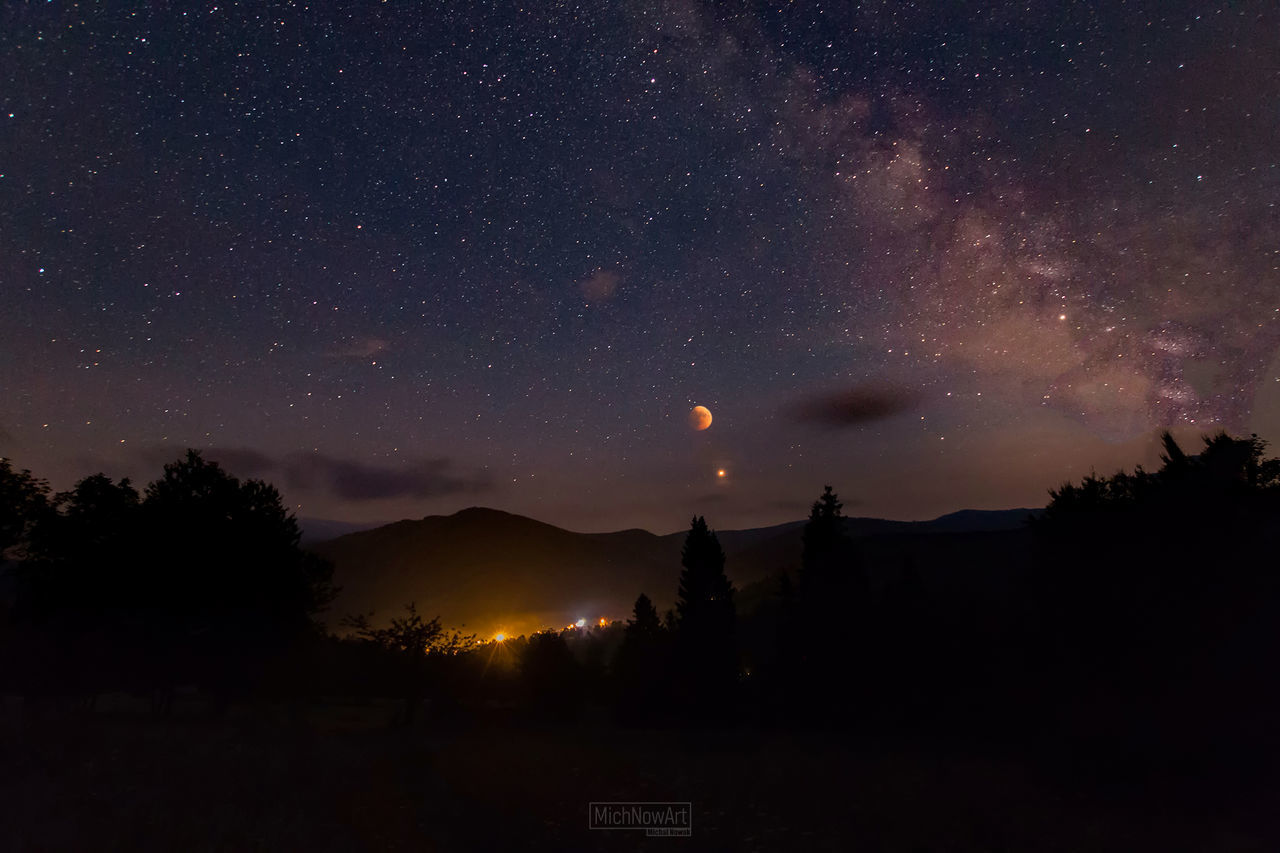 SCENIC VIEW OF SILHOUETTE TREES AGAINST STAR FIELD AT NIGHT